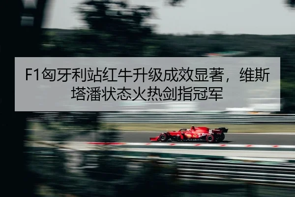 xiong-ya-li-zhan-hong-niu-sheng-ji-cheng-xiao-xian-zhu-wei-si-ta-pan-zhuang-tai-huo-re-jian-zhi-guan-jun-2-208.jpg