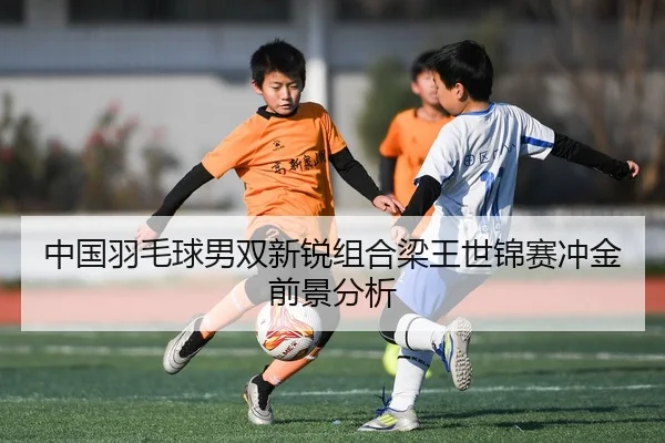 zhong-guo-yu-mao-qiu-nan-shuang-xin-rui-zu-he-liang-wang-shi-jin-sai-chong-jin-qian-jing-fen-xi-2-516.jpg