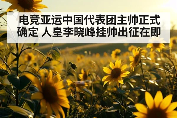 电竞亚运中国代表团主帅正式确定 人皇李晓峰挂帅出征在即