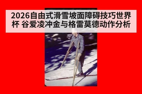 2026自由式滑雪坡面障碍技巧世界杯 谷爱凌冲金与格雷莫德动作分析